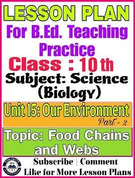 Class 10 Science Lesson Plan | Unit 15: Our Environment | Food Chains and Food Web|B.Ed. Lesson Plan