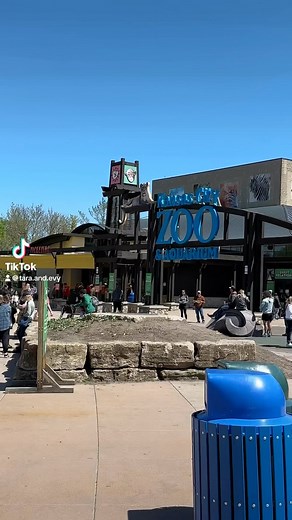 285 reactions · 14 comments | The @kansascityzoo is definitely the coolest zoo we have been to so far! So much to see & do  Touching stingrays was 100% a core memory made for Evy #kansascity #kansascityzoo #thingstodoinkansascity #familytravel #travelingwithkids #motherhood #momlife #reels #reelsvideo | The Cochran Fam | Facebook