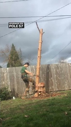 I learned how to climb on tree spikes.
