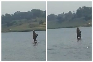 Video Of Woman Walking On Water Goes Viral, Netizens Are Baffled: Watch