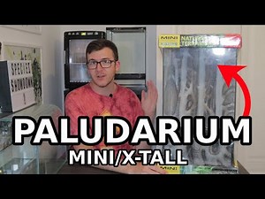 What to put in a Paludarium Mini/X-tall | Tank Suggestions