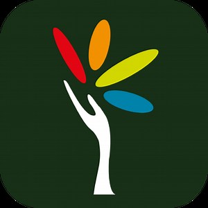 Les Mystères de la forêt - Terra Botanica