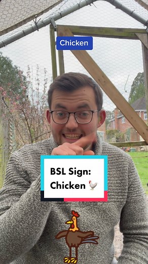 24K views · 1.3K reactions | Today is a new Sign in British Sign Language Today’s sign is #Chicken ! Join me everyday for new signs in British Sign Language! #deaf #bsl #signlanguage #chickens #pet #animals #farm #bird # | The Deaf Chef | Facebook