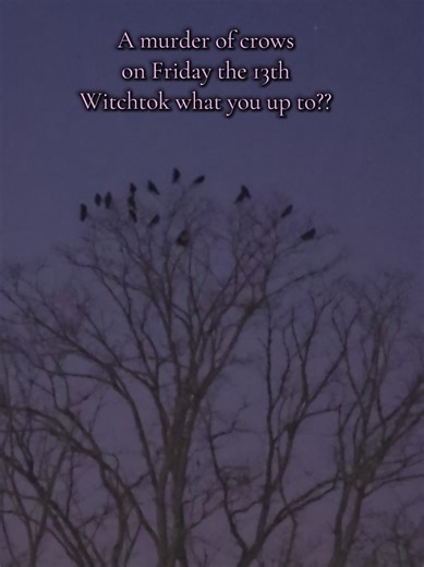 What are they plotting? 🤔🤫 | Crow