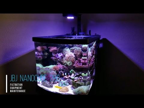 JBJ Nanocube 28G Filtration and Equipment