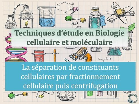 Technical sheets: Separation of cellular constituents by fractionation then centrifugation