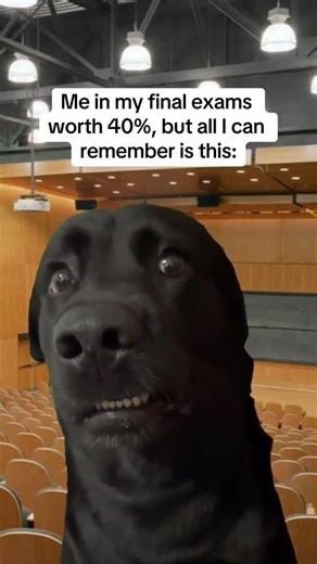 Memes ONLY Students Understand