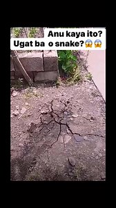 Cathy E. Valmoria on Reels