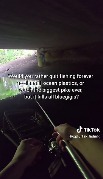 don't ask about the mattress in the river #outdoors #fishinglife #angler #fisherman