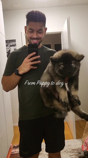 The evolution 🤯 My bog boy Guero is now 6.5 months 🥹 #dogstory #eurasier #eurasierdog #dogdad #justababydog #doglove #doglife