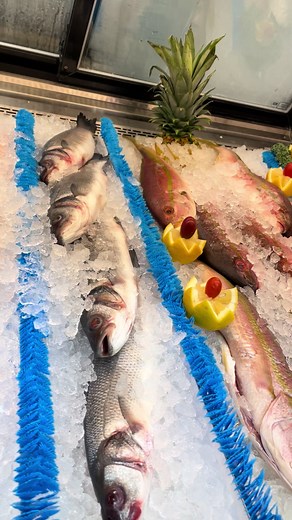 Explore Boca Raton's Newest Supermarket Experience