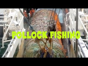 Ocean Trawling For Pollock In The Bering Sea