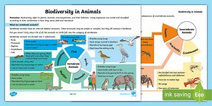 Biodiversity in Animals