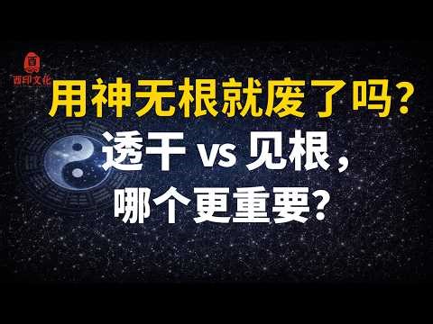 🔥【八字干货】八字用神无根就没用了吗？透干和见根哪个更重要？