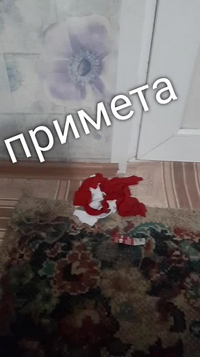 Exploring Patterns: Carpet Design and Decor Tips