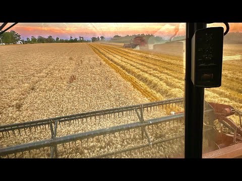 Inside the cab of a Case IH 1666 Axial Flow Combine