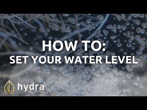 Where to Set the Water Level in HydraMax Hydroponic System