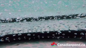 (½ in) – Fine bubble self-sinking diffuser airline for pond & water garden aeration | High oxygen transfer, aerates and de-ices ponds, easy installation (25')