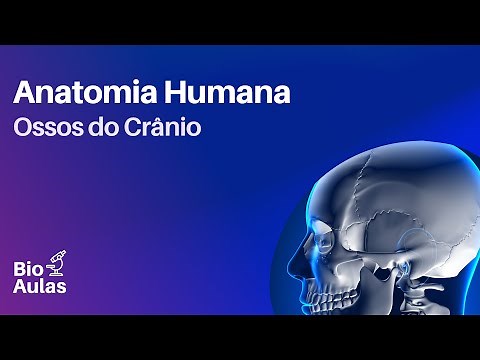 Ossos do Crânio: Neurocrânio e Viscerocrânio - Anatomia Humana (Bio Aulas)