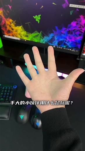 雷蛇（Razer）毒蝰V2pro专业版无线鼠标 电竞游戏 轻量化 对称型 黑色(附专用防滑贴+Type-C充电接口)