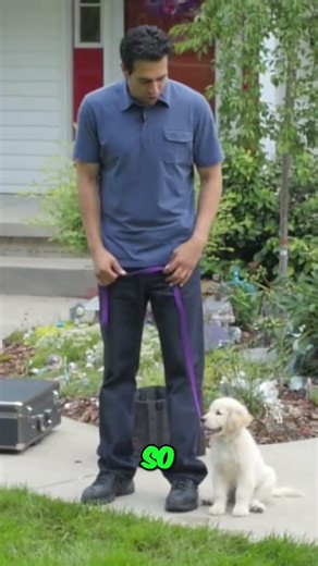 Dog Training: Master Heel Command with Speed Changes #shorts