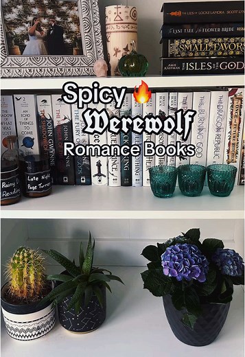 Top 10 Werewolf Romance Books You Must Read
