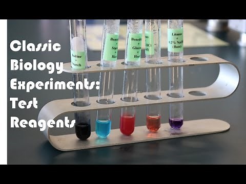 Classic Experiments in General Biology Lab - Test Reagents