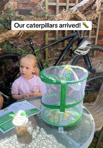 Calla is so excited to see them turn into butterflies ❤️ #parenting #toddler #Love #fyp #family
