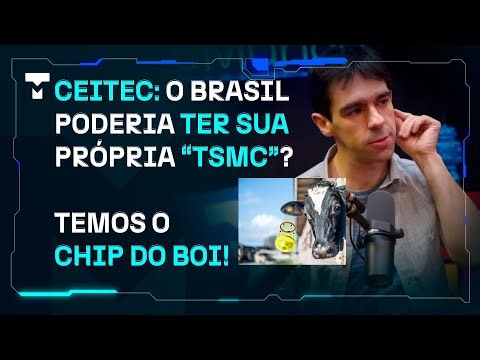 Semiconductor in Brazil: CEITEC and the 'Ox Chip'. Why Aren't We Taking Off?