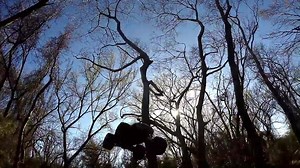 4.6K views · 202 reactions | E-Maxx Brushless hits the trail with 4X4 fury and the raw power of its waterproof MXL-6s power system. This electric monster truck now comes standard with self-righting. Flip your truck back over by just pressing a button on the transmitter. Product info: https://traxxas.com/products/models/electric/emaxx-brushless-tsm For best self-righting performance, Traxxas recommends stock vehicle body, gearing, wheels/tires, and 3-cell LiPo batteries. | Traxxas | Facebook