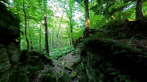 30 reactions | Reconnect with nature at Panama Rocks - one of New York State's premiere natural attractions! Explore for the day or spend the night in one of our luxury glamping tents (or bring your own tent at a primitive tent camping site)! Axe throwing and facility rentals available by reservation! Learn more at www.PanamaRocks.com | Panama Rocks Scenic Park | Facebook