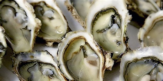 New seafood processing facility coming to Green Pond, bringing jobs to area