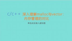 深入理解malloc与vector：内存管理的对比
