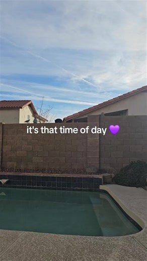 Quail Crossing in Arizona: A Wildlife Experience