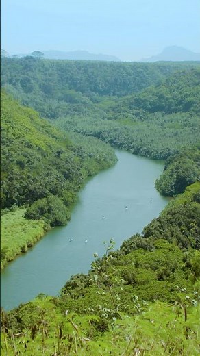 FROM ISLAND #22 Kaua'i ʻŌpaekaʻa Falls & Wailua River lookouts（カウアイ島）