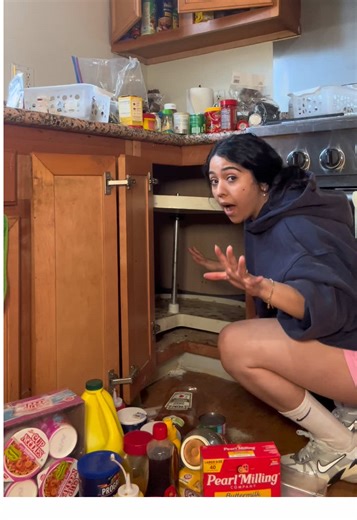 Depuración de Gabinete de Cocina: ¡Manos a la Obra!