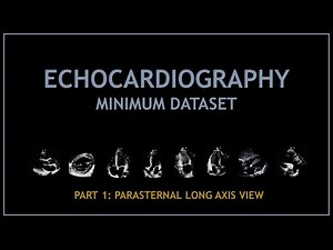 Echocardiogram: Minimum dataset (PART 1: parasternal long axis view)