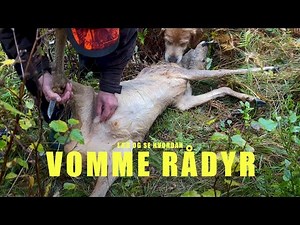 Hvordan utvomme et rådyr - Rådyrjakt med Gatenes Monsen