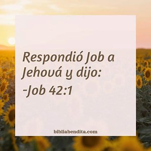 Explicación Job 42:1. 'Respondió Job a Jehová y dijo:' - BibliaBendita