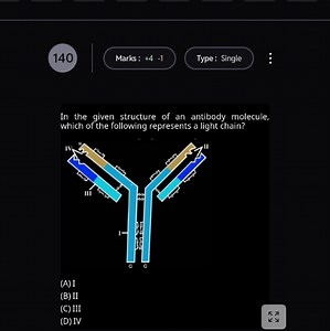 QuestionIn the given structure of an antibody molecule, which ... | Filo