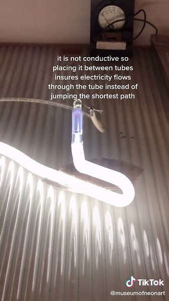 MuseumofNeonArt on TikTok