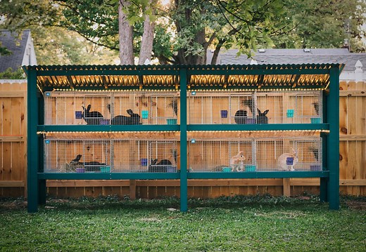 Building My Rabbit Hutch with KW Cages — Teal Stone Homestead