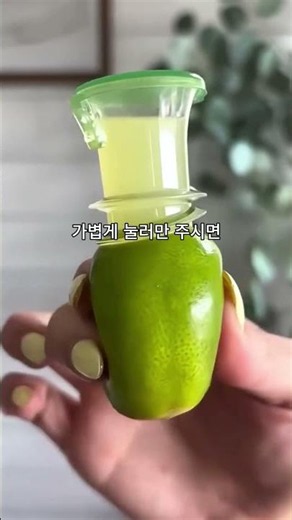 손에 묻힐 일 없이 상큼한 레몬즙 1초 만에 짜내는 마법 🍋 #미니착즙기 #주방꿀템 #살림템