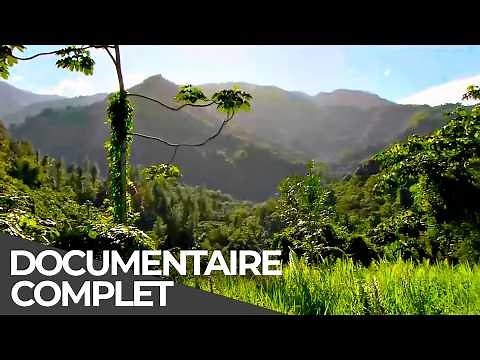 Quelque part sur terre : Jamaïque | Histoires du bout du monde | Documentaire Français
