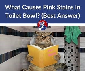 What Causes Pink Stains in Toilet Bowl? (Best Answer)