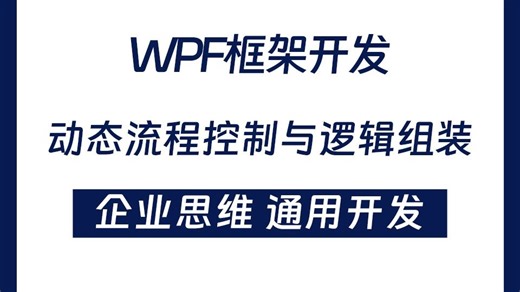 【2025全新】基于WPF的动态流程控制与逻辑组装的业务功能实现与控制逻辑 基础 提高 项目开发实战视频教程 B1062