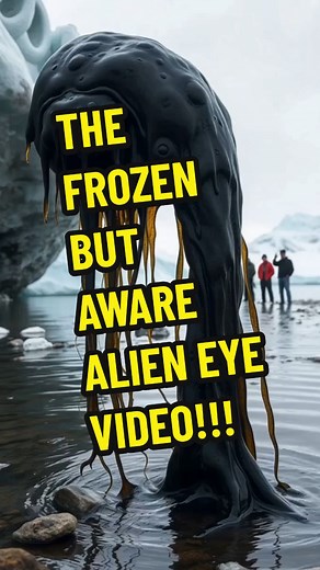Frozen but aware alien eye video: date: 11/6/2024 location: Antarctica time: 8:45 am Wt appears to be a mysterious frozen alien frozen in arctic snow, shows signs of life as it begins to move slightly back and forth while staring directly into the camera. What could this be? Some unknown parasite or unknown species. or could this be something not from earth? Thoughts? #ufosighting #november #2024 #ufo #parasite #alien #antarctica