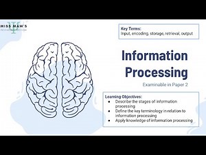 OCR GCSE Psychology - Memory - Information Processing