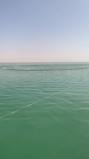 Medco smb (@medco.smb)’s videos with son original - narrbouthies8