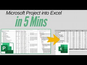Microsoft Project Resource & Cost Extract into Excel